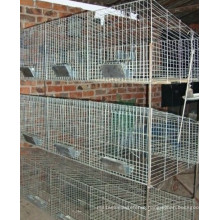 Rabbit Cages /Welded Wire Mesh  (HPZS-1016)